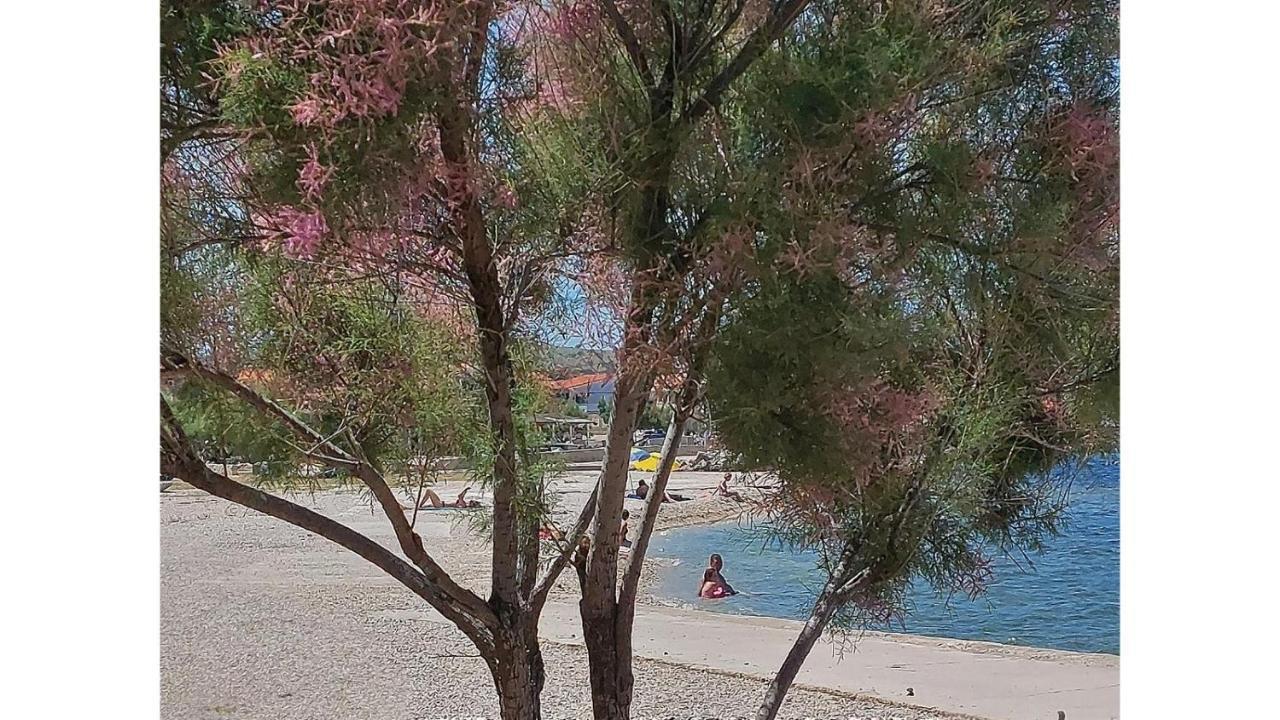 Blue Sea Vir Apartments Εξωτερικό φωτογραφία